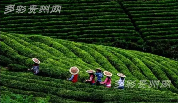 ʯ�䣺��ƶ+������Դ���ƾ�������