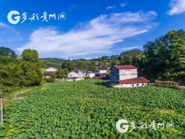 ������ɽ�̱��塰��� ���ϵ��̿쳵 ������
