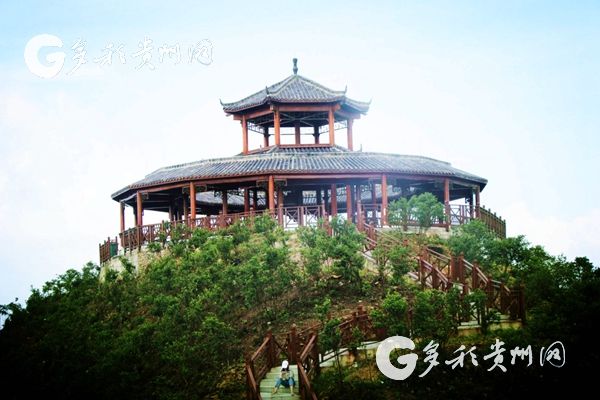 ʯ��۷��磺��Ұ�����䡰����� �Ͳ��ҵΪ��ƶ�����͡�